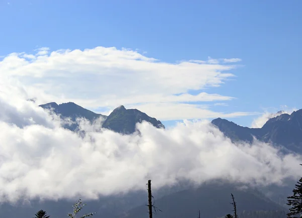 Vista de las montañas Tatra en verano —  Fotos de Stock