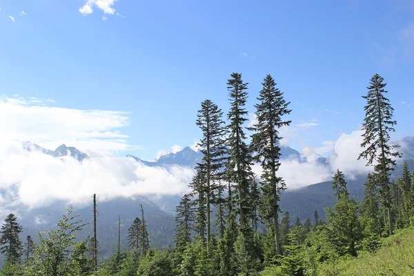 Krajobraz z góry tatry Polska — Zdjęcie stockowe