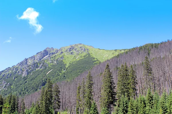 Krajobraz z góry tatry Polska — Zdjęcie stockowe