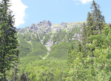 Peyzaj dağlar tatry Polonya