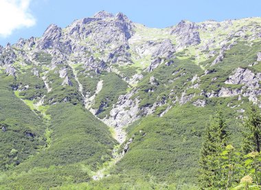 Peyzaj dağlar tatry Polonya