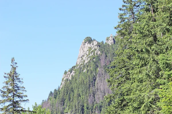 Paisaje de montañas tatry Polonia —  Fotos de Stock