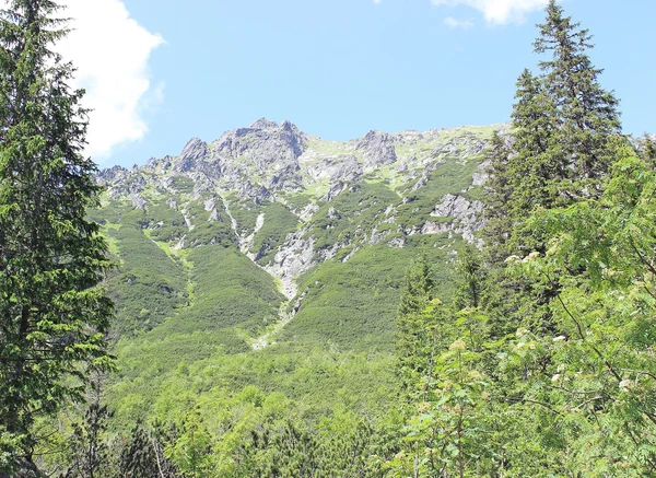 Paisaje de montañas tatry Polonia —  Fotos de Stock