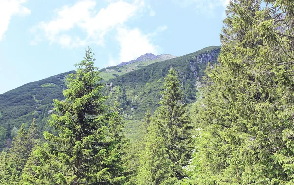 Krajina hory tatry Polsko — Stock fotografie