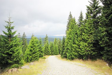 Peyzaj dağlar karkonosze Polonya