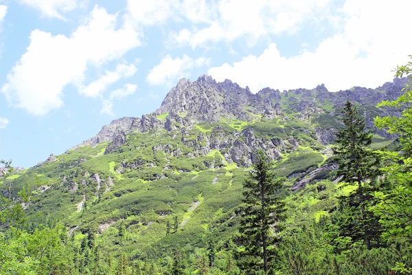 Landscape of mountains tatry Poland — Stock Photo, Image