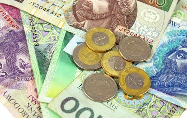 Polonya Zlotisi pln Döviz - banknot ve madeni paralar
