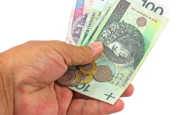 Polnischer Zloty pln - Banknoten und Münzen — Stockfoto