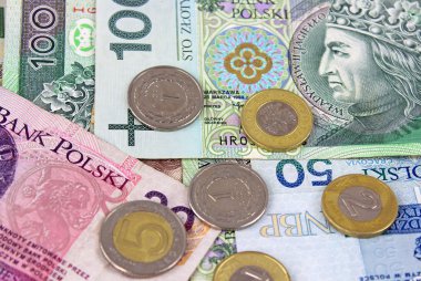 Polonya Zlotisi pln Döviz - banknot ve madeni paralar