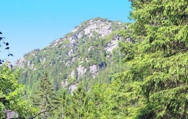 Peyzaj dağlar tatry Polonya