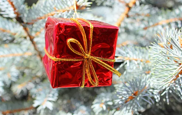 Ornamento de Natal na árvore de Natal — Fotografia de Stock