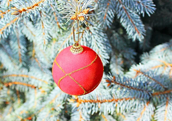 Kerst ornament op de kerstboom — Stockfoto