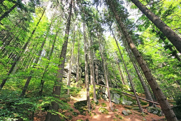 Landskap av jätten berg i Polen - stock bild — Stockfoto