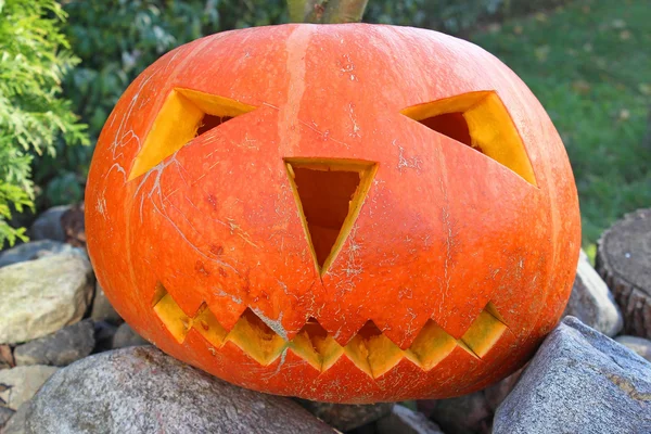 Pompoen voor Halloween — Stockfoto