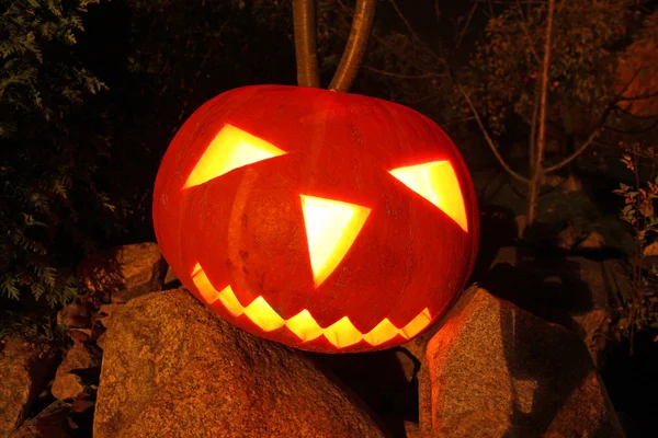 Zucca per Halloween — Foto Stock