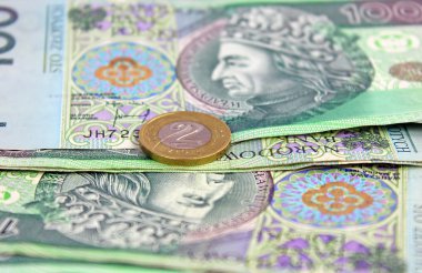Polonya Zlotisi (Pln) para birimi - banknot ve madeni paralar