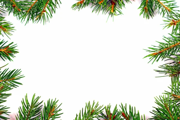 Izole Noel yeşil çerçeve — Stok fotoğraf