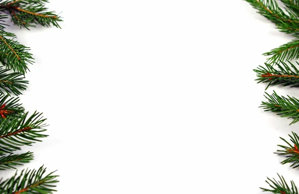 Christmas green framework isolated — Stock Photo, Image