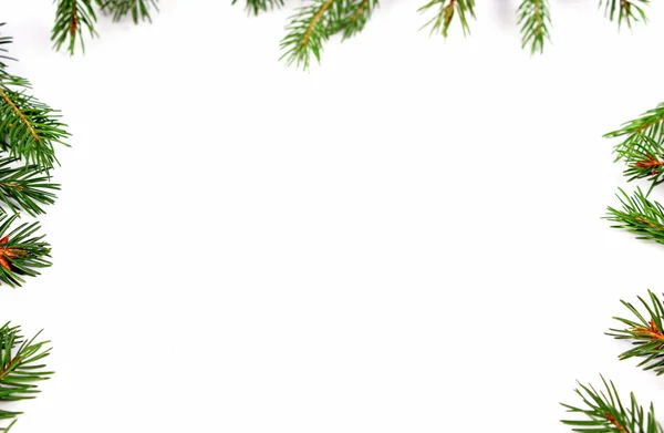 Різдвяна зелена рамка ізольована — стокове фото