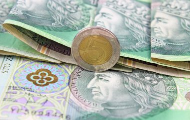 Polonya Zlotisi (Pln) para birimi - banknot ve madeni paralar