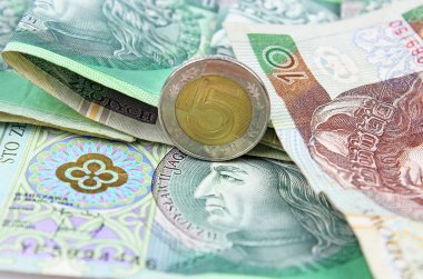 Polonya Zlotisi (Pln) para birimi - banknot ve madeni paralar
