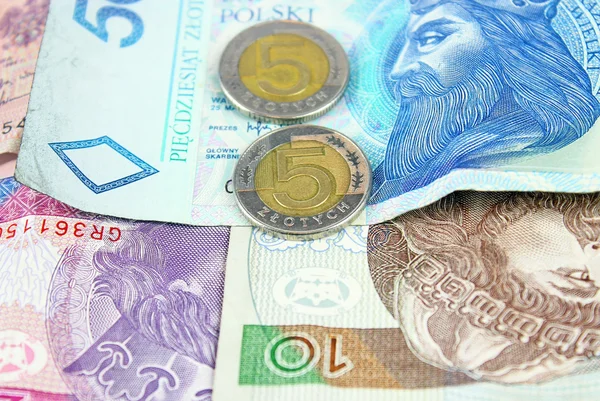 Польская злотая валюта (PLN) - банкноты и монеты — стоковое фото