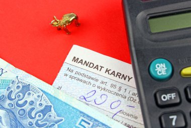 Polonya ceza görevi