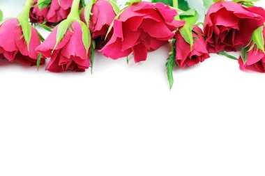 Beyaz arkaplanda kırmızı güller