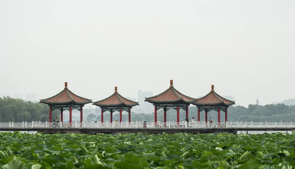 Lotusdamm och den traditionella hexiang — Stockfoto