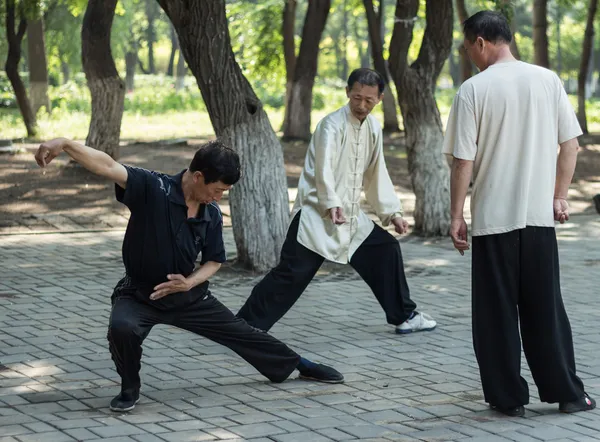 Exercícios matinais - tai chi chuan — Fotografia de Stock