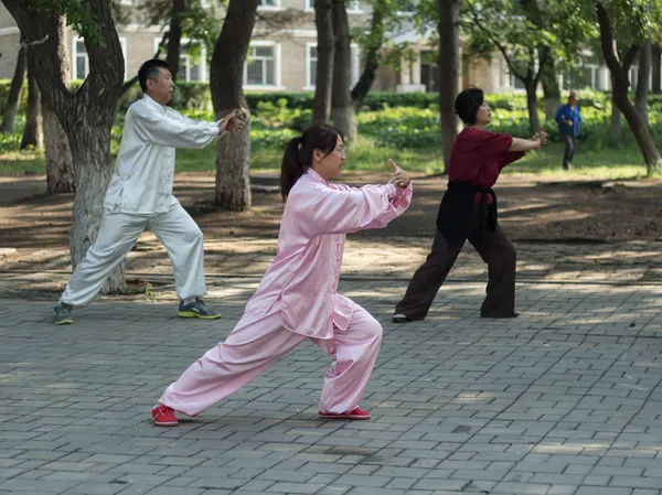 Exercícios matinais - tai chi chuan Fotografia De Stock