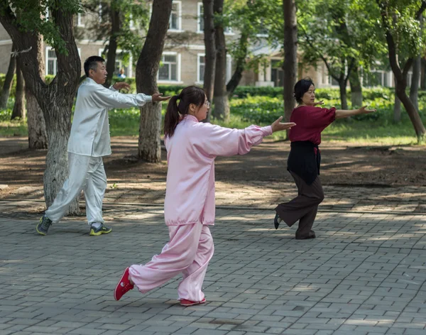 Exercícios matinais - tai chi chuan Imagem De Stock