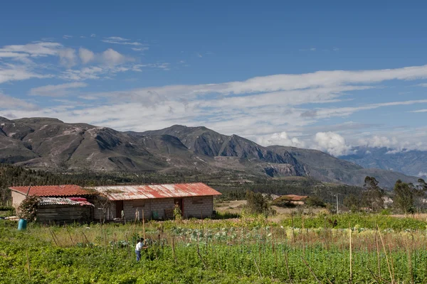 Finca (granja) en el camino a Saraguro, Ecuador — Foto de Stock