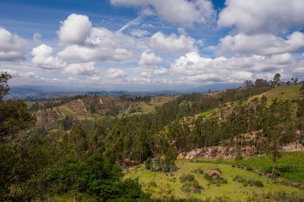 Vista altında cojitambo