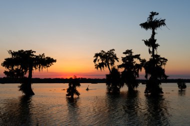 Kayaking at Sunset, Lake Martin, Breaux Bridge, Louisiana clipart