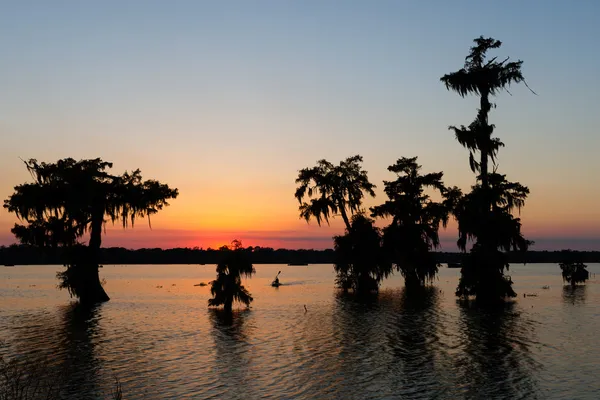 Gün batımı, göl martin, breaux bridge, louisiana Kayak — Stok fotoğraf