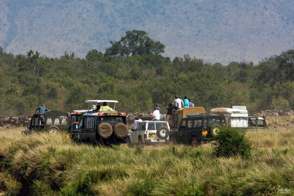 Photo safari in Africa. Safari in Masai Mara