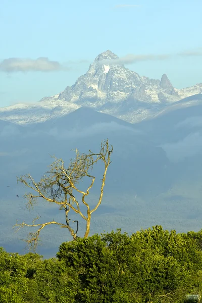 Afrika, kenya Dağı dağ. — Stok fotoğraf