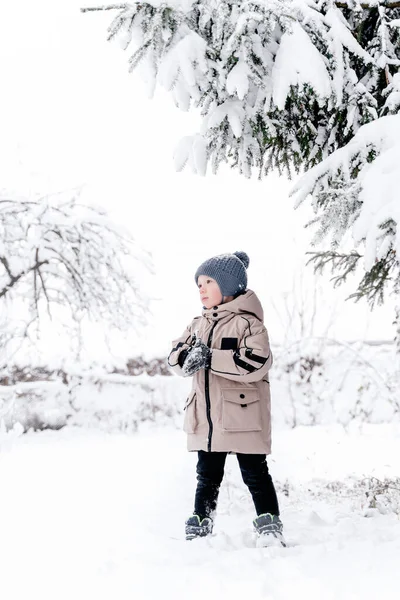Pojke Trädet Snön — Stockfoto