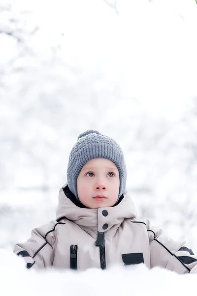 Pojke Bland Snön Vinter Promenad Royaltyfria Stockbilder