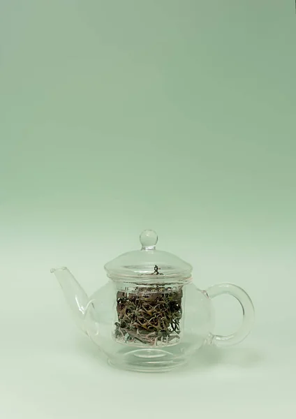 干苔藓在茶壶里 一种健康的饮料 — 图库照片