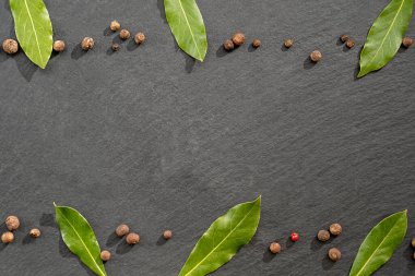 Siyah arkaplanda defne yaprağı ve karabiber, baharatlar, düz manzara, metin için boşluk