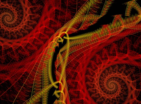 Padrões Formas Fractais Abstratos Espiral Fractal Formas Naturais Dinâmicas Fluindo — Fotografia de Stock