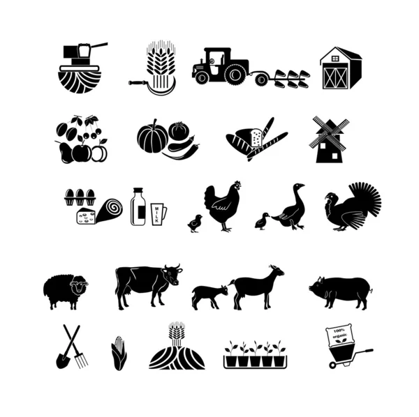 Iconos de agricultura y agricultura — Archivo Imágenes Vectoriales