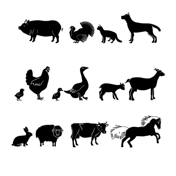 Animaux de ferme — Image vectorielle