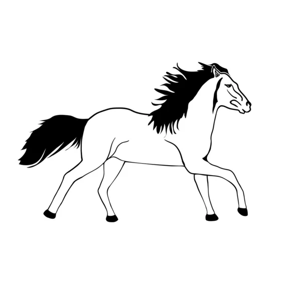 Kör häst — Stock vektor