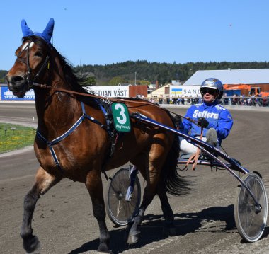 trotter - 02 ile catchdriver