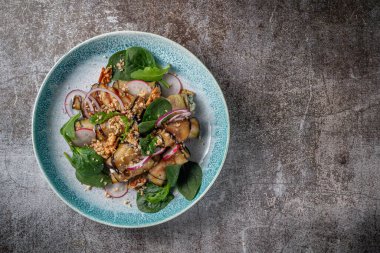 Serving a dish from a restaurant menu. Stuffed eggplants with onions, green spinach and walnuts on a plate against the background of a gray stone table