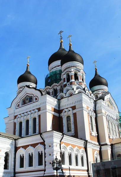 Alexander Nevsky Katedrali