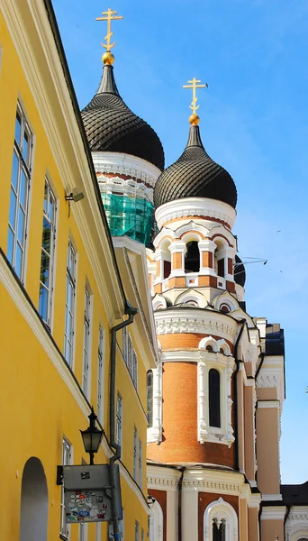 Katedrála Alexandra Něvského Stock Fotografie